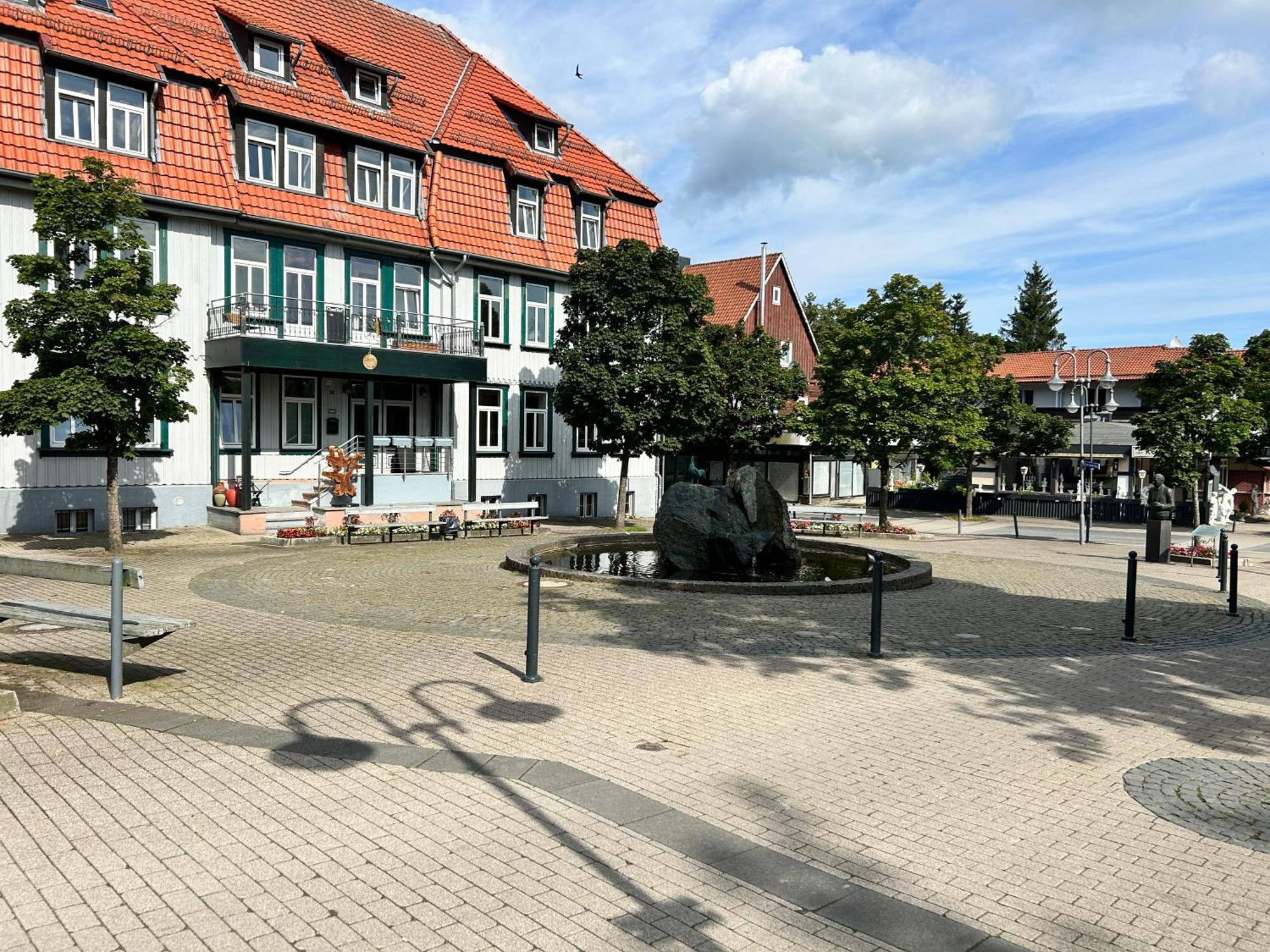Ferienapartment Hahnenklee 1 Appartement Goslar