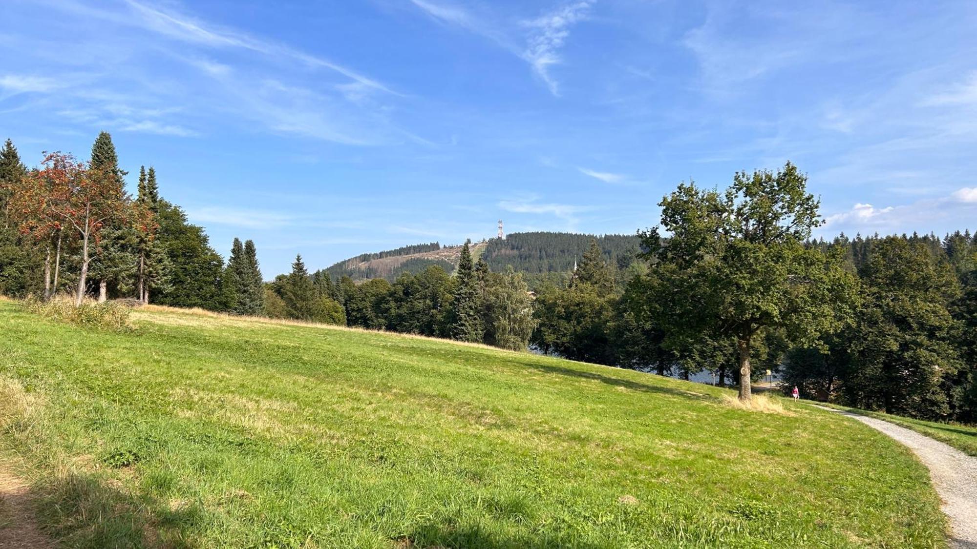 Ferienapartment Hahnenklee 1 *