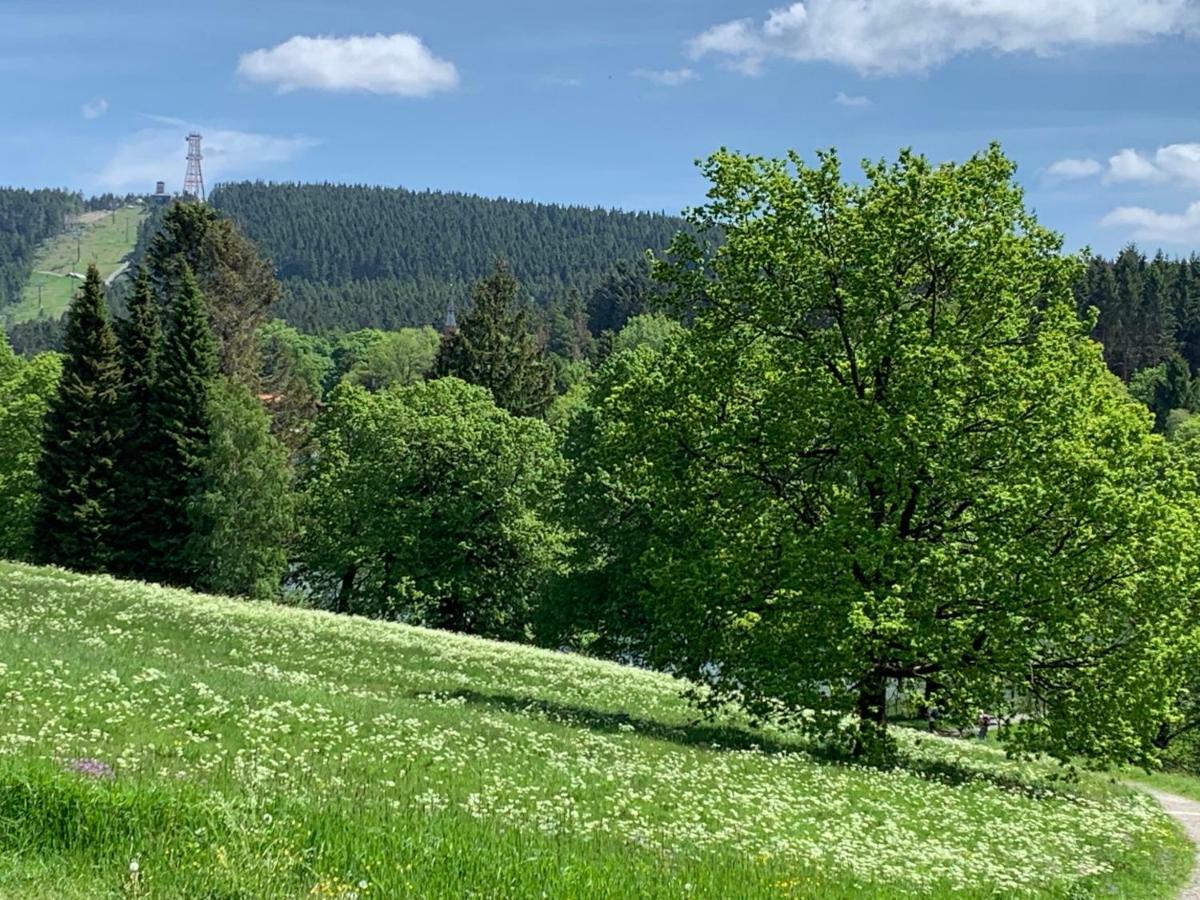 Ferienapartment Hahnenklee 1 *